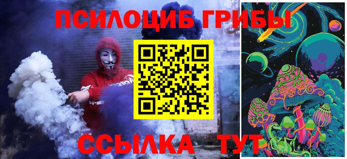 Псилоцибиновые грибы Psilocybe Сергиев Посад